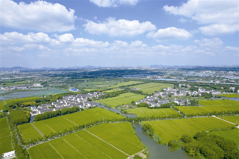 鄉村田園 美如畫